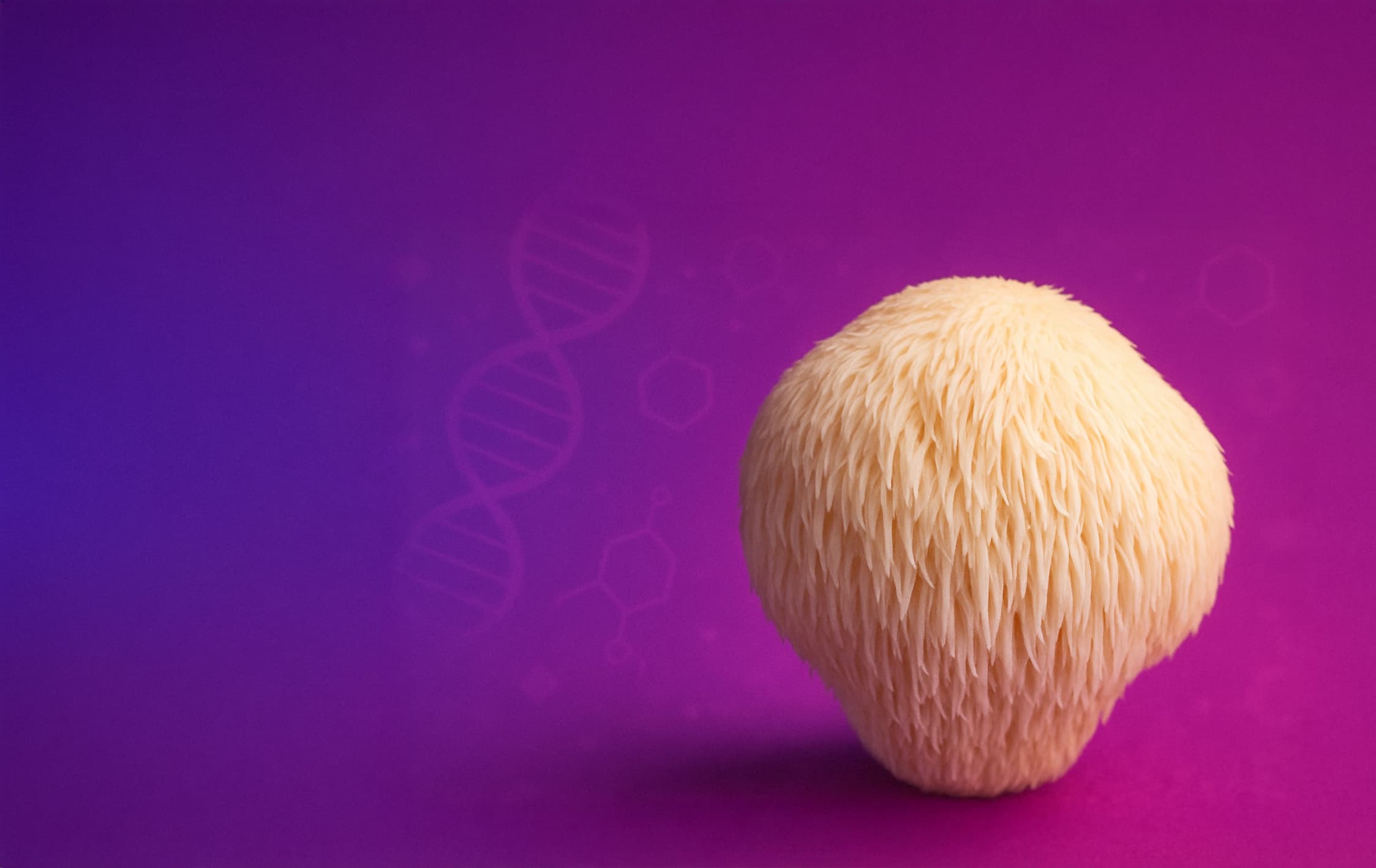 Lion's Mane Mushroom clinical research