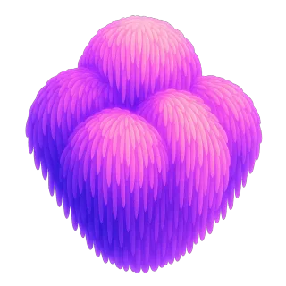 Lion's Mane Mushroom